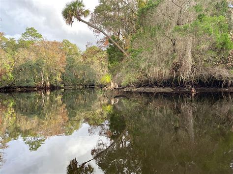 Withlacoochee Aquatic Restoration Inc Withlacoochee River