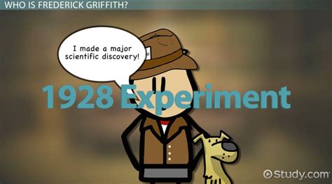 Frederick Griffith Experiment And Discovery Video And Lesson Transcript