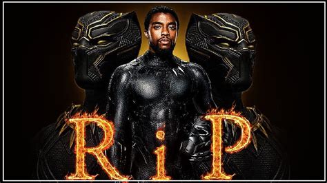 R I P Black Panther Chadwick Aaron Boseman Hop Manipulation