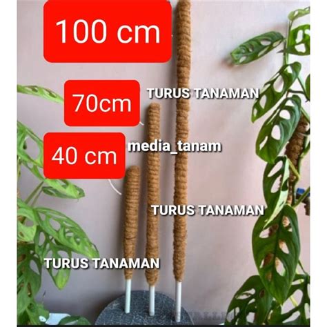 Jual Turus Bambu Penyangga Tanaman Bahan Coco Fiber Sabut Kelapa