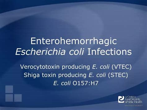 Ppt Enterohemorrhagic Escherichia Coli Infections Powerpoint Presentation Id3680820