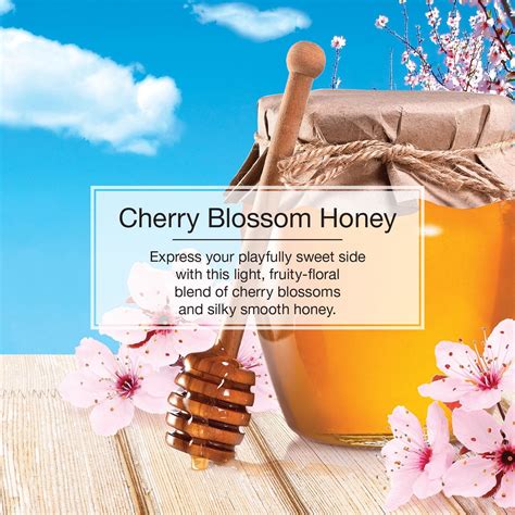 Little Trees Cherry Blossom Honey Scent Air Freshener Hanging 6 Pack