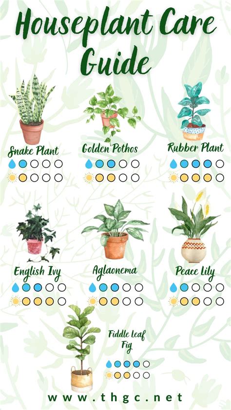 Houseplant Care Guide Printable Printable Word Searches