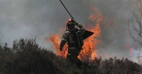 Waldbrand In Nrw Interview Mit Feuerwehr Experte Zu Feuer In W Ldern