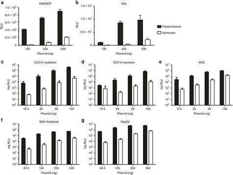 Representative Experiments Comparing Luc Plasmid Transfection With