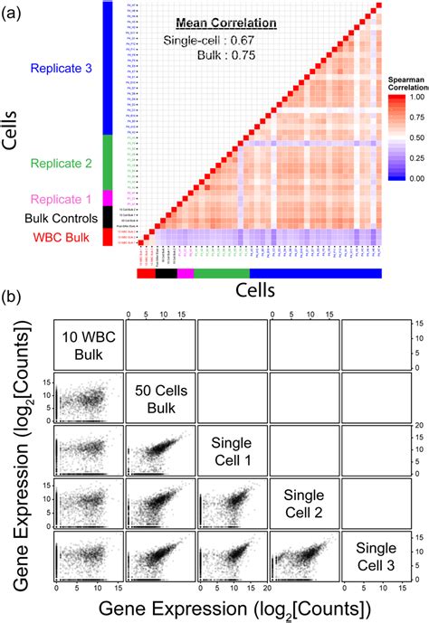 A Gene Expression Correlations Between Single Cells From Replicate