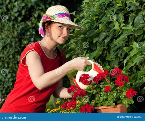 Woman Watering Plants Stock Photo Image Of Care Adult