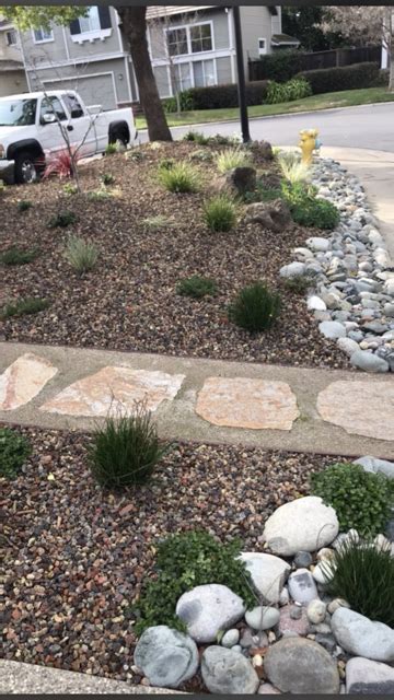 Drought Tolerant Landscaping Folsom And Sacramento