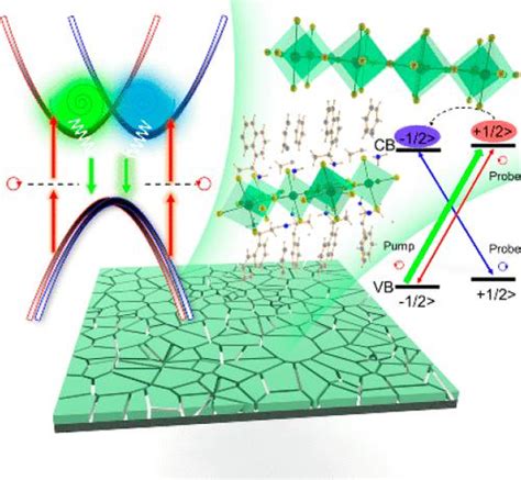 The Journal Of Physical Chemistry