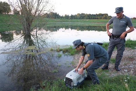 Laghetto Sotto Osservazione Partiti I Lavori Al Parco Increa