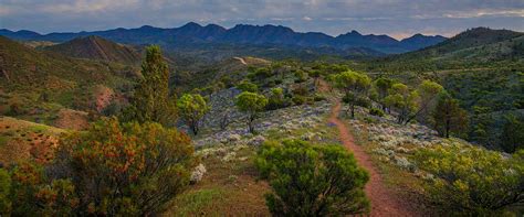 Australian Art And Outback Landscapes Of The Flinders Ranges