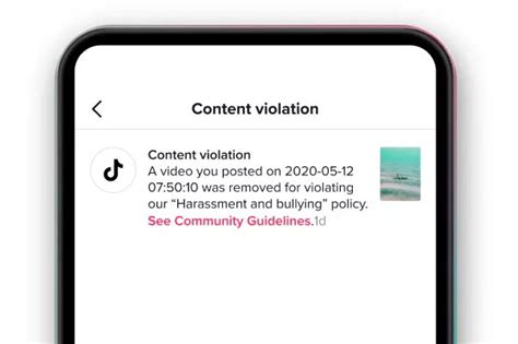 How To Appeal A Tiktok Ban Wlfa