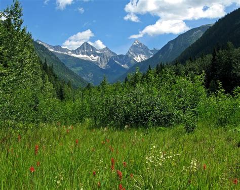 Glacier Park Vista