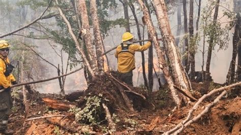 Incendios En Tierra Del Fuego Tildan Al Gobierno De Ineficaz Y Piden