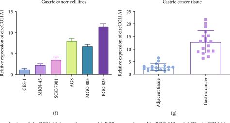 Table 1 From CircCOL1A1 Promotes The Progression Of Gastric Cancer