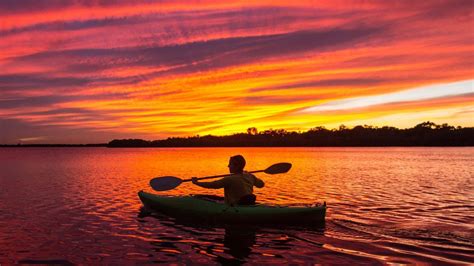 Bioluminescence Kayaking In Orlando Discover The Magic Villakey