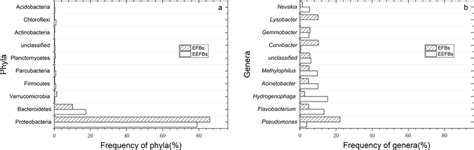 Distribution Of Bacterial Phyla A And Genera B In The Biochar