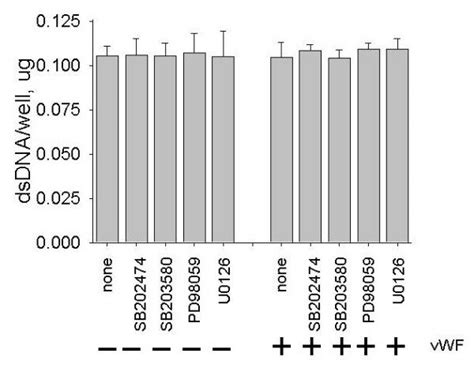 Effects Of Protein Kinase Inhibitors And VWF On A Number Of Endothelial