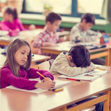 Decir A Un Lado Plato Interpretación Mi Hijo Habla Mucho En Clase