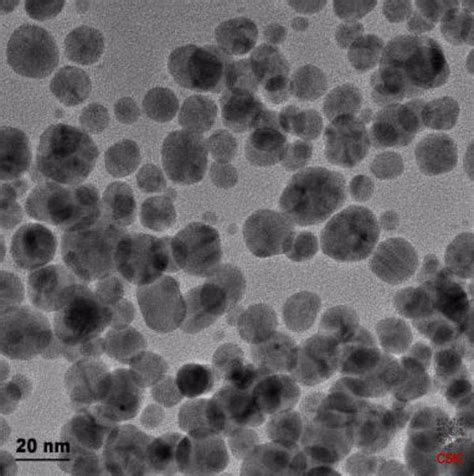 Las nanopartículas de plata de las algas pueden ser tóxicas