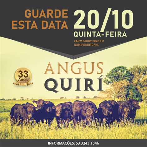 Touros Angus Pc E Ultrablack Entram Em Pista No Remate Angus Quir No