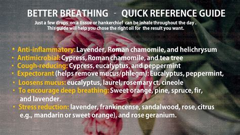 Better Breath - Quick Reference Guide - Naturra