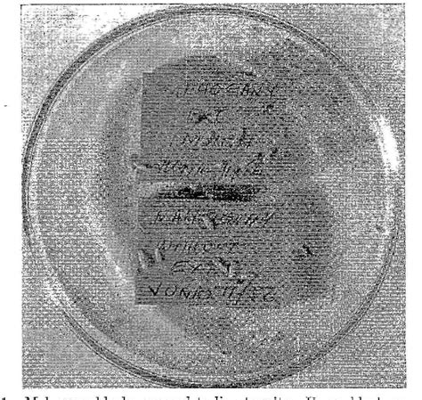 Figure 1 from Termite-Repellent Activity and Chemical Composition of West Indian Mahogany Wood ...