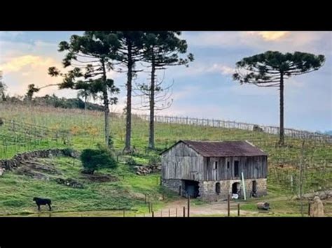 O Dono Foi Pego No Local Por Deixar A Porta Aberta Quando Entrei Na