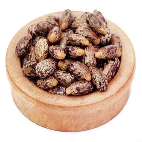 Castor Seeds Perfect Food Industries