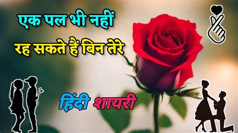 एक पल भी नहीं🦋रह सकते हैं बिन तेरे🌺🌺hindi Shayari Video🥀🥀love