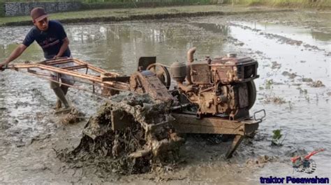 Joki Muda Traktor Sawah Menyelesaikan Meratakan Lahan Sawah YouTube