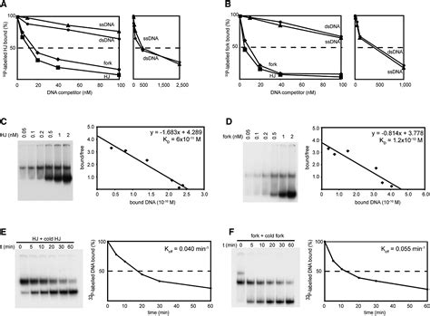 The Fanconi Anemia Protein FANCM Can Promote Branch Migration Of