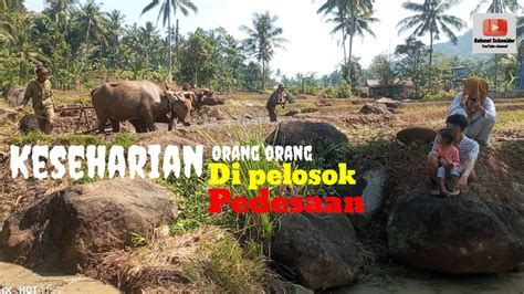 Kehidupan Di Pelosok Pedesaan Cikalong Kulon Cianjur Jawa Barat