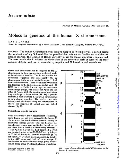 Molecular Genetics Of The Human X Chromosome KAY E DAVIES From The