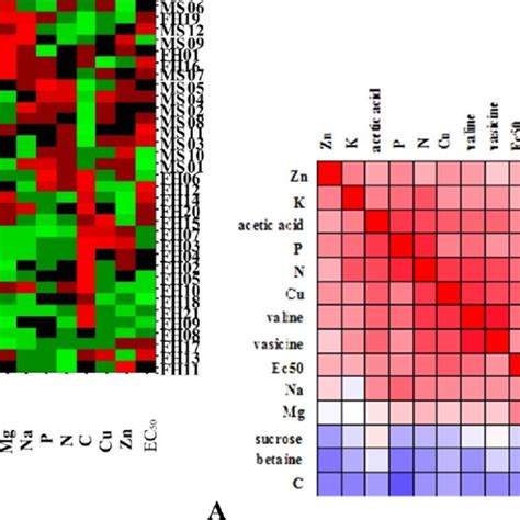 Clustered Heat Map And Correlation Analysis A Clustered Heat Map Of Download Scientific