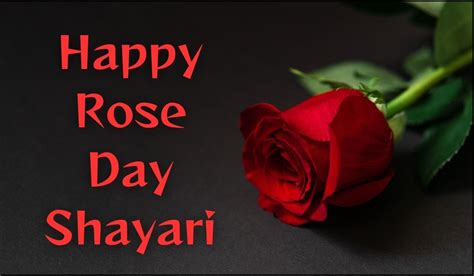 Happy Rose Day Shayari - Shayari Hindi