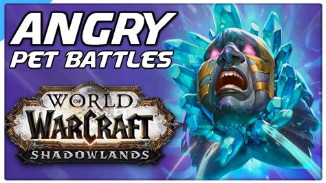 Angry Pet Battle Pvp World Of Warcraft Shadowlands Competitive Wow