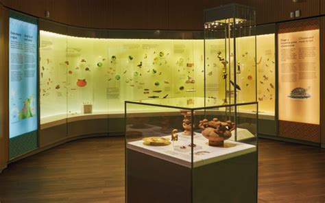 Plan Your Zenu Gold Museum Visit In Cartagena La Red Cultural Del