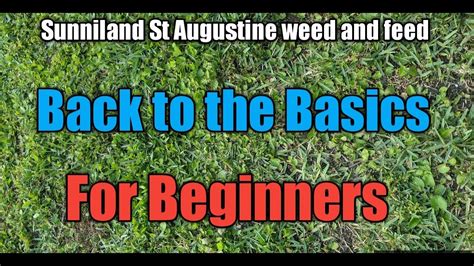 How To Spray For Weeds In Your St Augustine Lawn Youtube