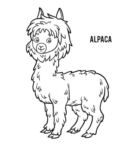 Actualizar Alpaca Dibujo Para Colorear Muy Caliente Camera Edu Vn