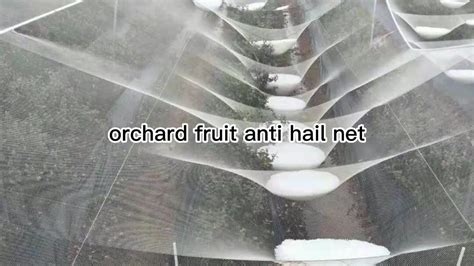 Crystal Quad Cherry Fruit Tree Cover Net Anti Hail Net Buy Hail