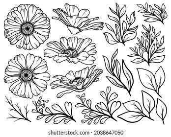 Hand Drawn Flower Sketch Line Art Stock Vector Royalty Free