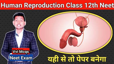 Human Reproduction In One Shot All Concepts Tricks Pyqs L Neet