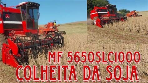 Colheita Da Soja Mf Slc Youtube