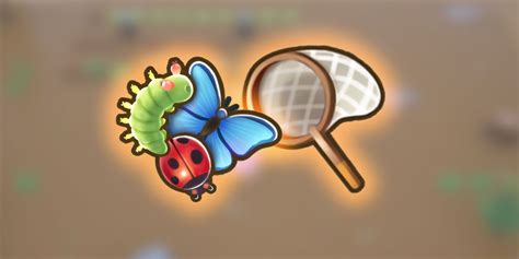 How To Catch Bugs In Coral Island