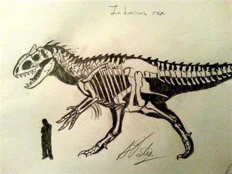 T Rex Skeleton Drawing at GetDrawings | Free download