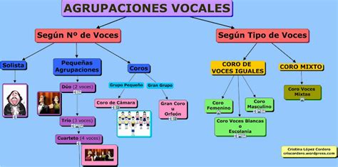 Musicos Del Carolina Curso 4º 5º 6º ClasificaciÓn De Las Voces