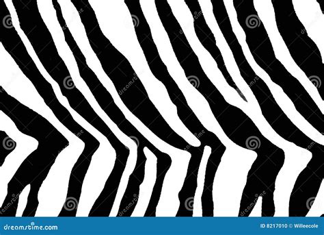 Animal print stock illustration. Illustration of striped - 8217010