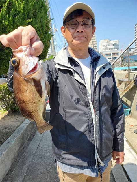 4月14日 明石沖のメバル＆ガシラ釣り 名田屋 明石たこ釣り船・ブリ・メジロ・ヒラメのませ釣り船・タチウオ釣り船の釣果ブログ 明石港