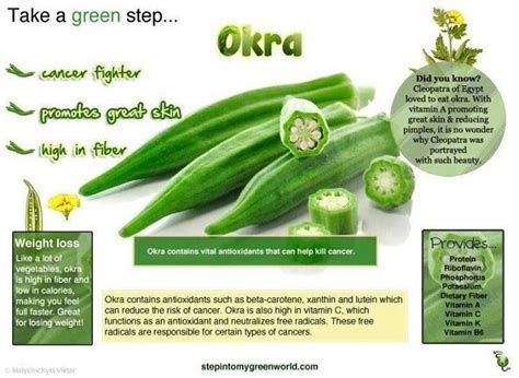 Thats Okra Okra Benefits Health Infographic Health